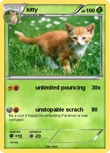 Pokemon kitty