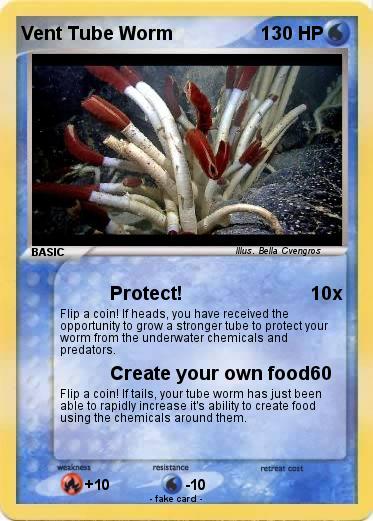 Pokemon Vent Tube Worm