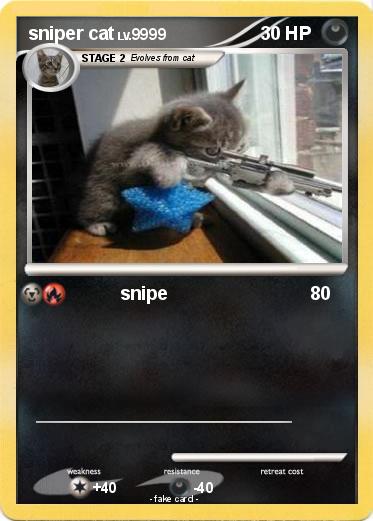 Pokemon sniper cat