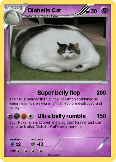 Pokemon Diabetis Cat