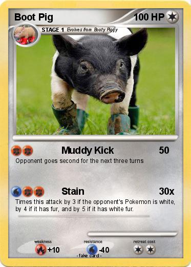 Pokemon Boot Pig
