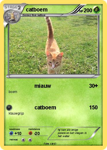 Pokemon catboem
