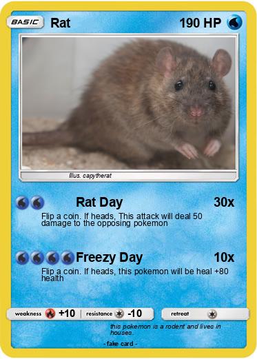 Pokemon Rat