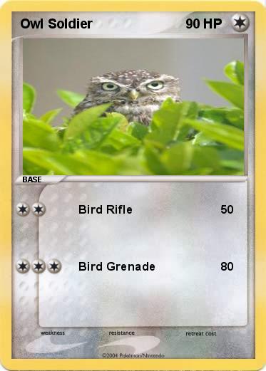 Pokemon Owl Soldier