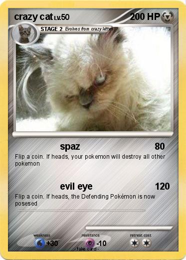 Pokemon crazy cat