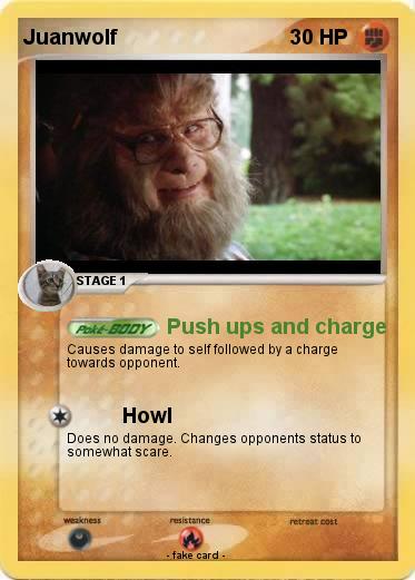 Pokemon Juanwolf