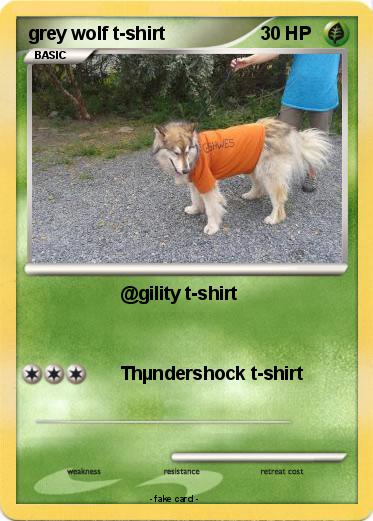 Pokemon grey wolf t-shirt