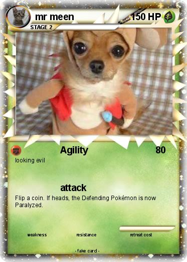 Pokemon mr meen