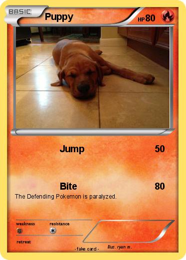 Pokemon Puppy