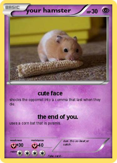 Pokemon your hamster