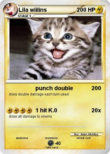 Pokemon Lila wiilins