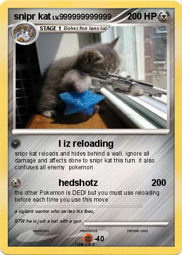 Pokemon snipr kat