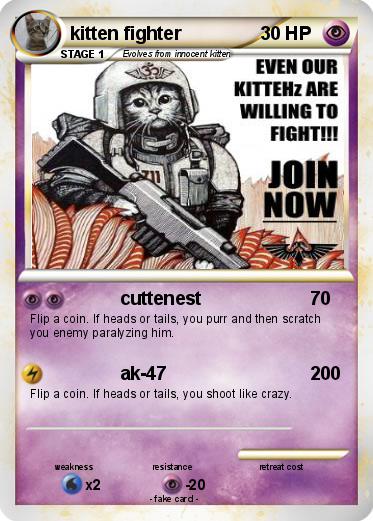 Pokemon kitten fighter