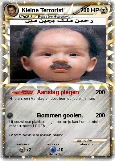 Pokemon Kleine Terrorist