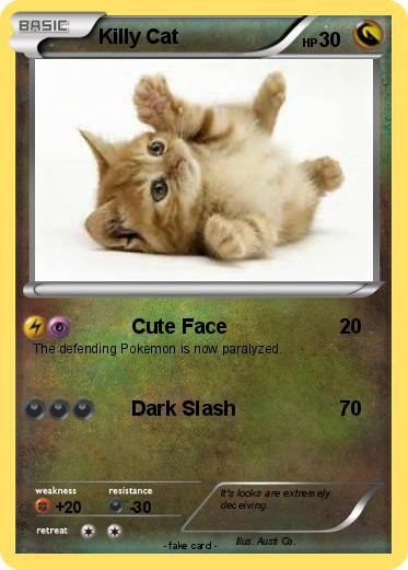 Pokemon Killy Cat
