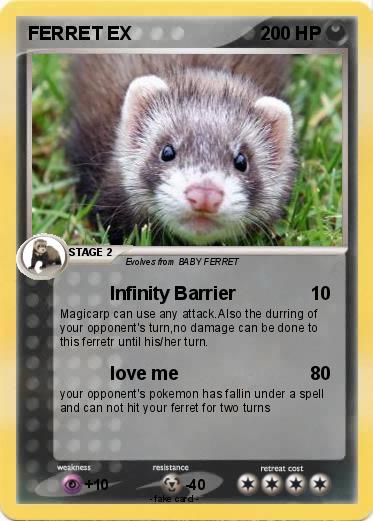 Pokemon FERRET EX