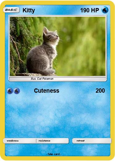 Pokemon Kitty