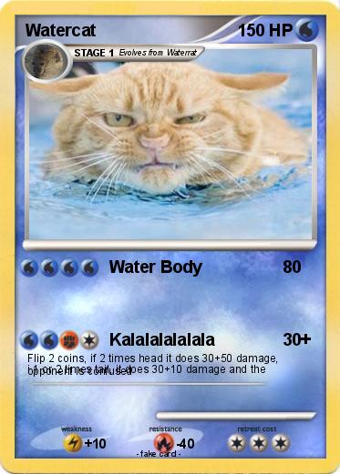Pokemon Watercat