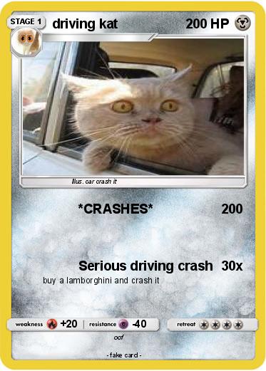 Pokemon driving kat