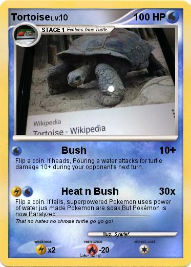 Pokemon Tortoise