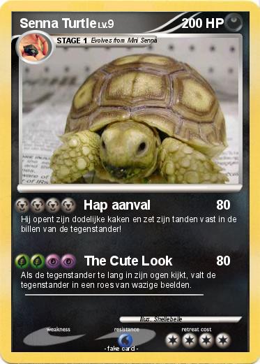 Pokemon Senna Turtle