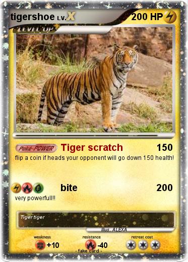 Pokemon tigershoe