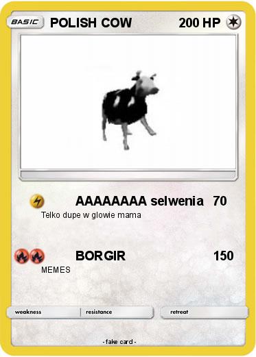 Pokemon POLISH COW