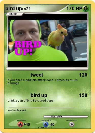 Pokemon bird up