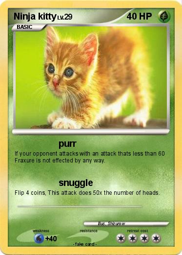 Pokemon Ninja kitty
