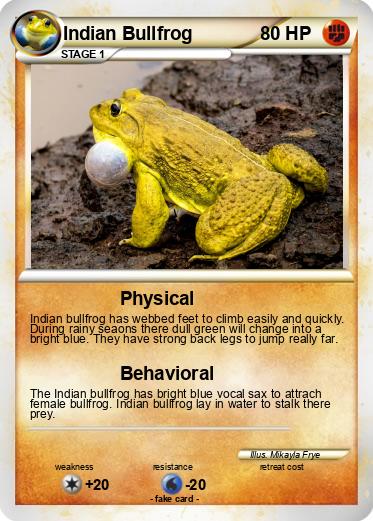 Pokemon Indian Bullfrog