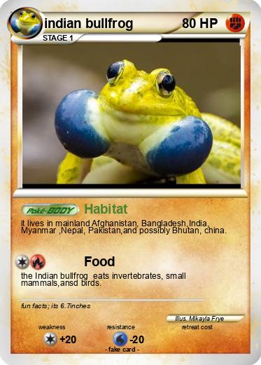 Pokemon indian bullfrog