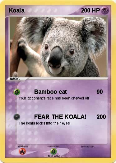 Pokemon Koala