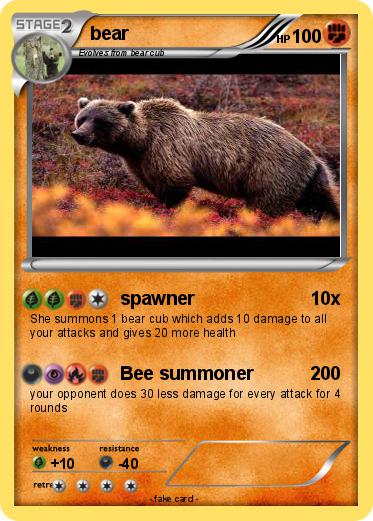 Pokemon bear