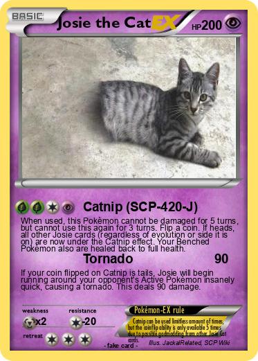 Pokemon Josie the Cat