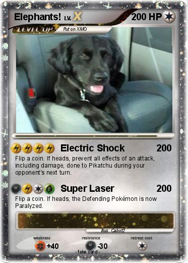 Pokemon Elephants!