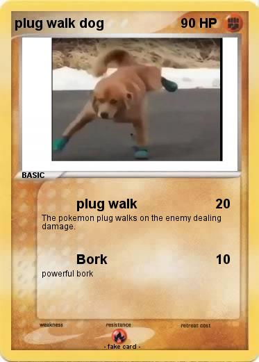 Pokemon plug walk dog