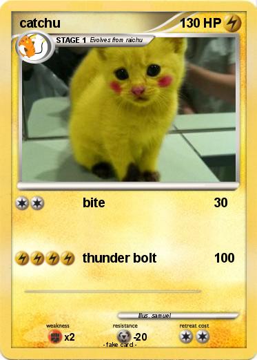 Pokemon catchu