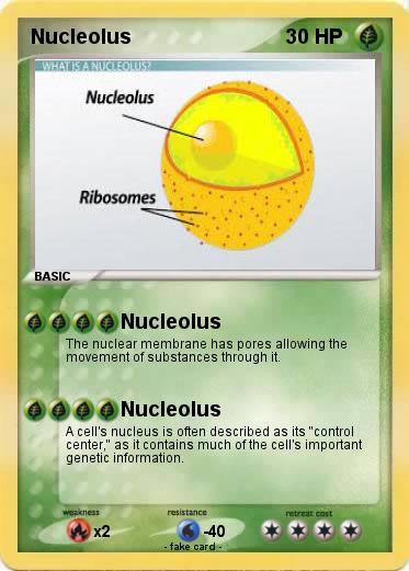 Pokemon Nucleolus