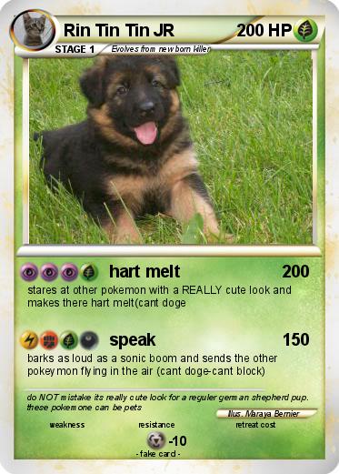 Pokemon Rin Tin Tin JR