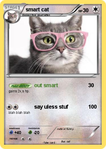 Pokemon smart cat
