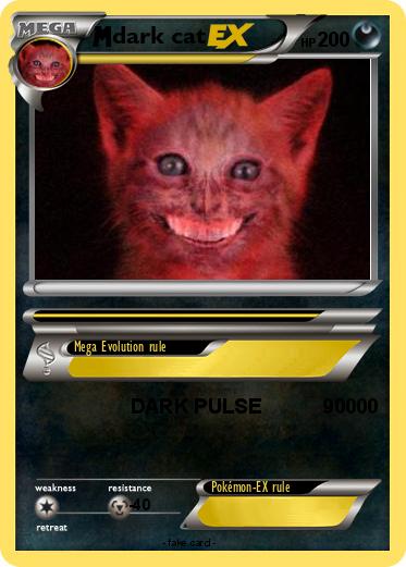 Pokemon dark cat