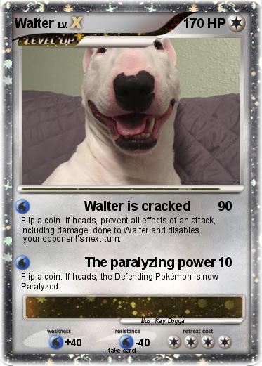 Pokemon Walter