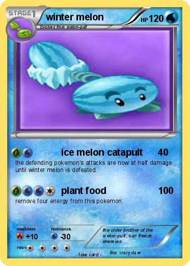 Pokemon winter melon