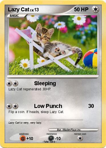 Pokemon Lazy Cat