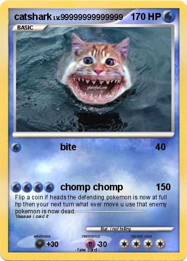 Pokemon catshark