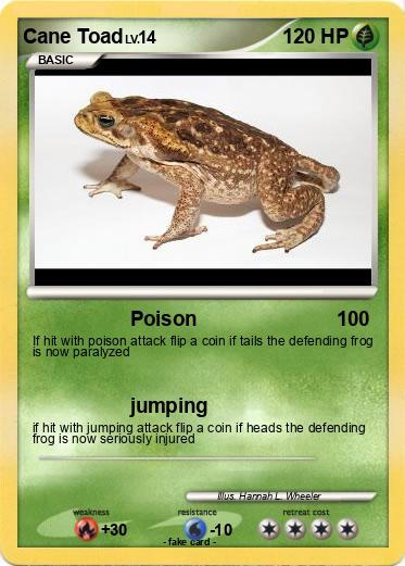 Pokemon Cane Toad