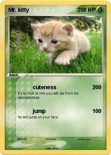 Pokemon Mr. kitty