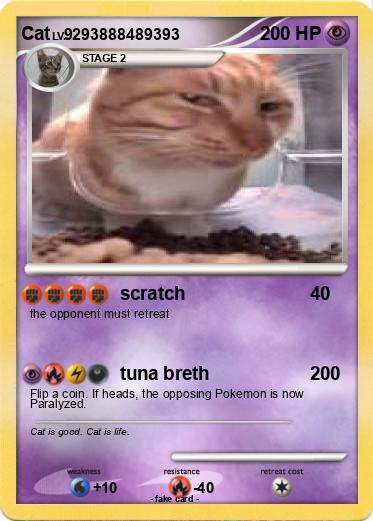 Pokemon Cat