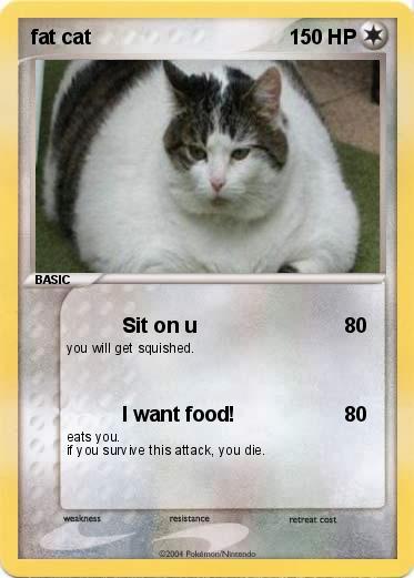 Pokemon fat cat