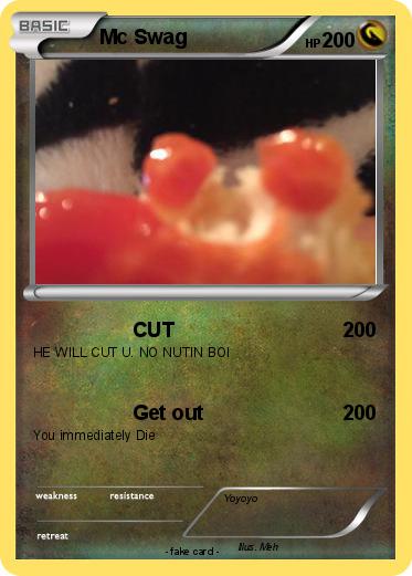 Pokemon Mc Swag